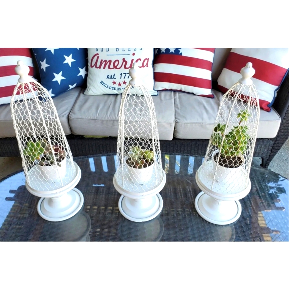 Shabby chic Metal cloche chicken wire